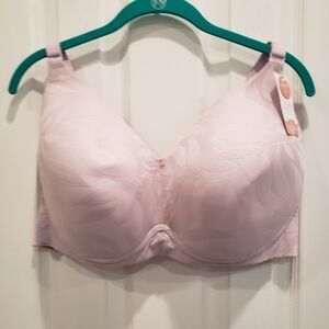 NWT Cacique Pale Lilac Lightly Lined Full Coverage No-Wire Bra - Sz 38H US